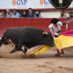 Fotografía de archivo donde aparece el torero mexicano Alejandro Adame. Foto de EFE/ Tadeo Alcina.