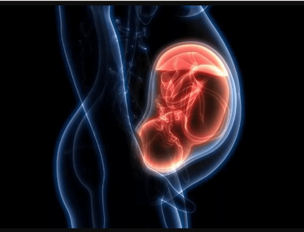 Preeclampsia. Foto: Especial.