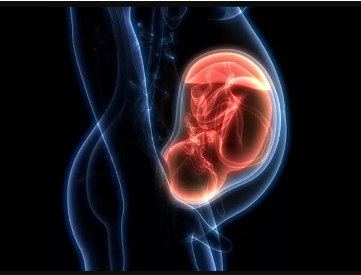 Preeclampsia. Foto: Especial.