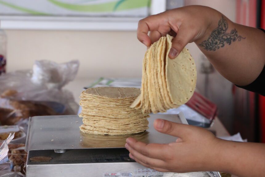 Tortillas 1