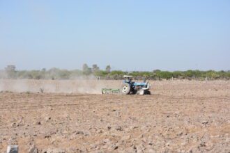 campo 2