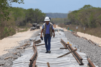 "48 muertos y 31 lesionados, saldo en construcción de Tren Maya"