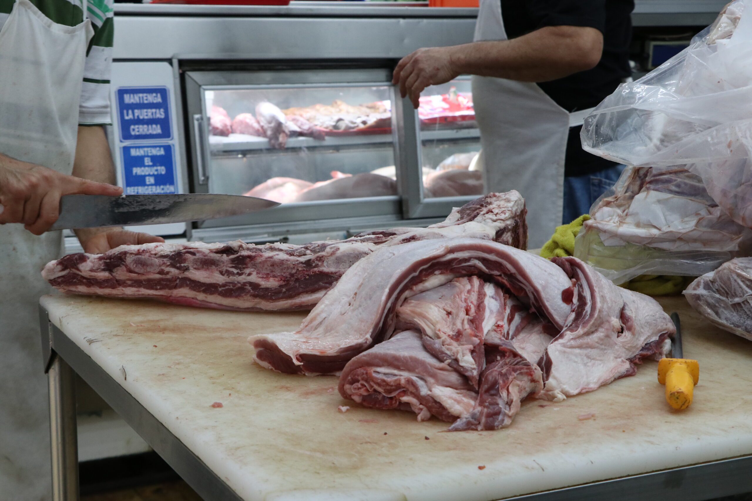 CARNE 01 scaled
