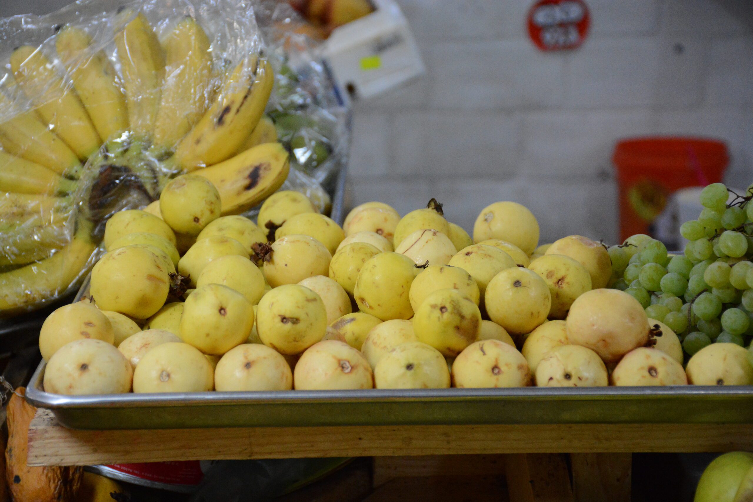 GUAYABA 01 scaled