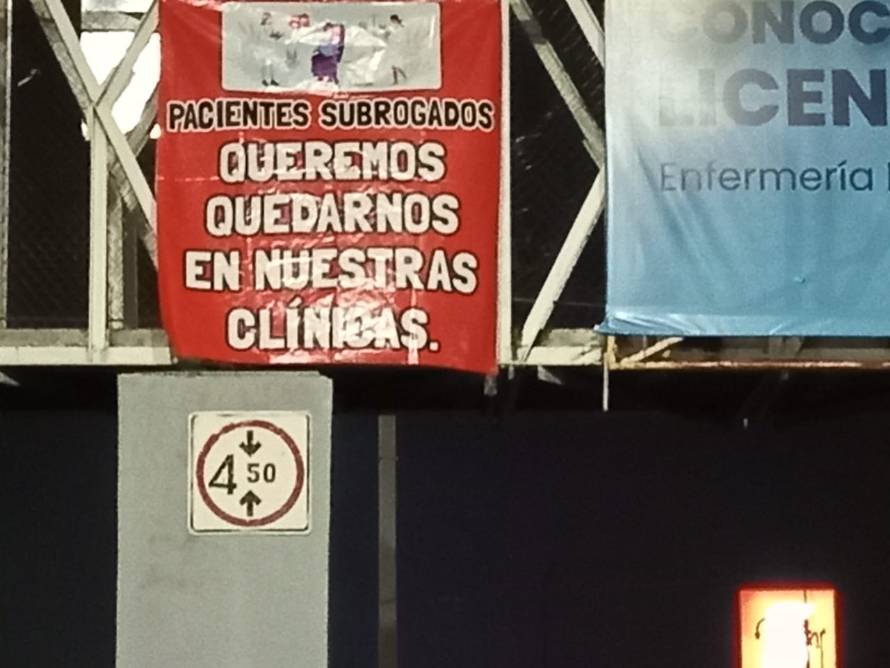 RENALES 01 1 1