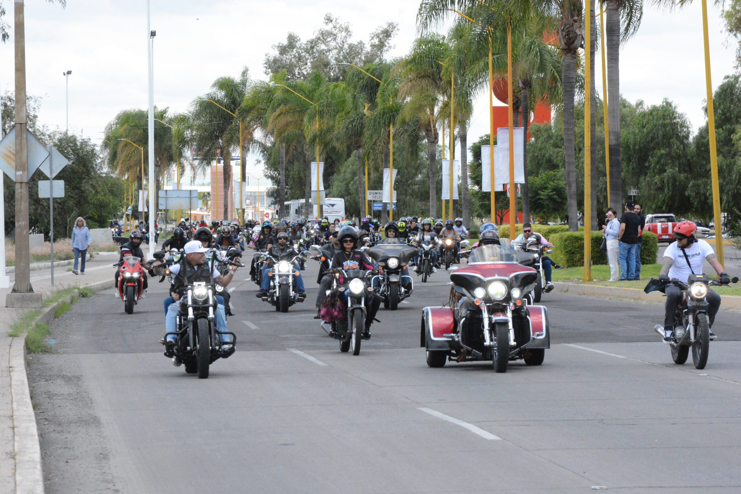 Motociclistas 2 scaled