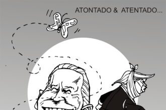 carton 2