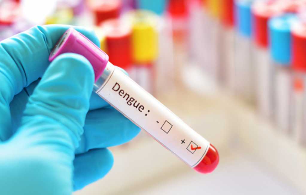 dengue 1