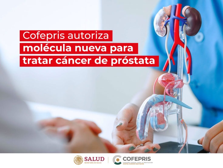 Cofepris Molecula Cancer