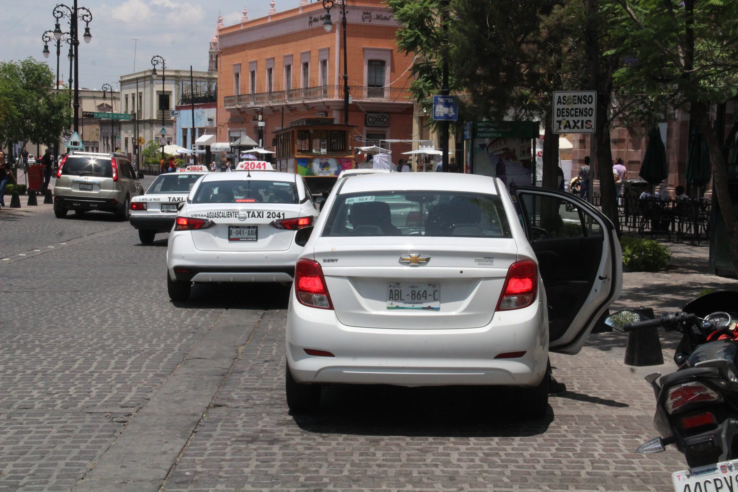 taxis lily 1 POR FAVOR DIFUMINAR PLACAS scaled