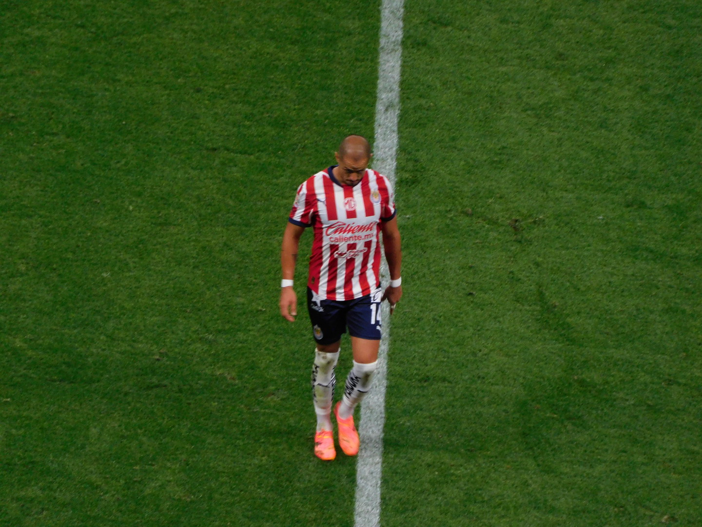 Javier 'Chicharito' Hernández. Foto: El Universal.