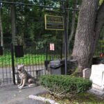 Imagen Ilusrativa. El cementerio de mascotas de Hartsdale. Foto: Hartsdale.