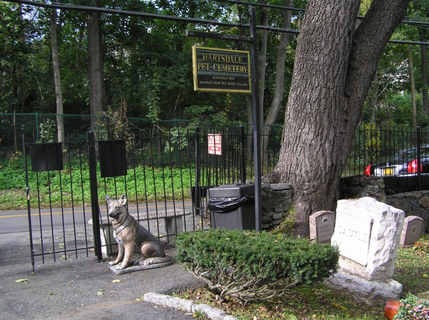 Imagen Ilusrativa. El cementerio de mascotas de Hartsdale. Foto: Hartsdale.