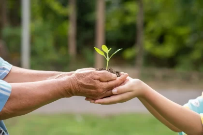 elderly person children holding plant 1