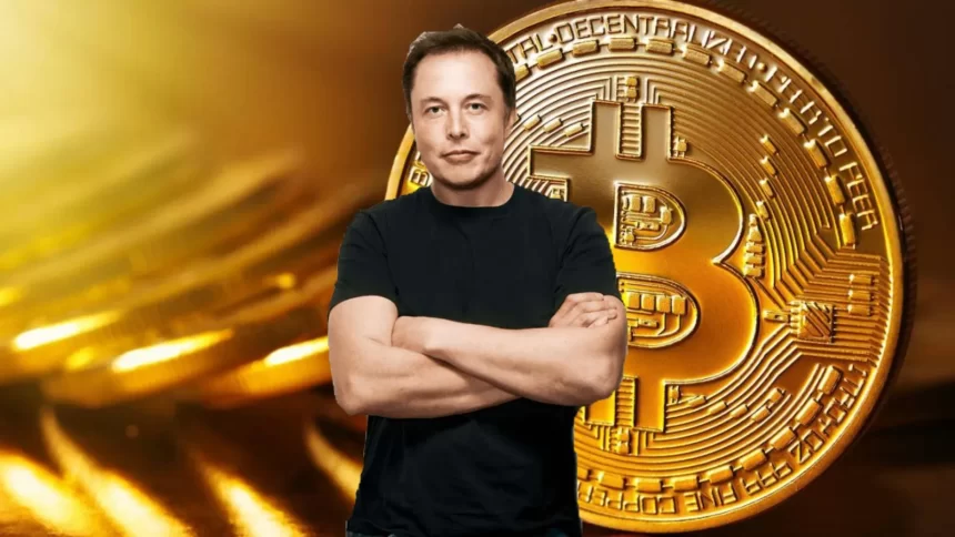 elon musk criptomonedas