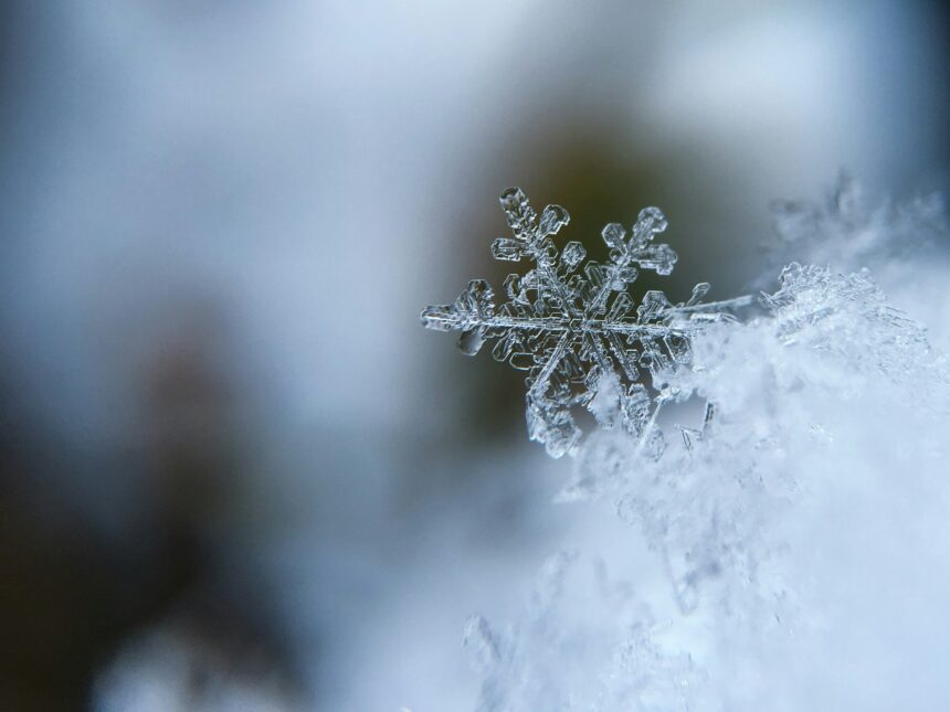 Llegó el invierno a México. A atender medidas especiales en Aguascalientes. Foto: Unsplash.