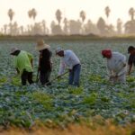 Mexicanos en Estados Unidos. Foto: Especial / AP.