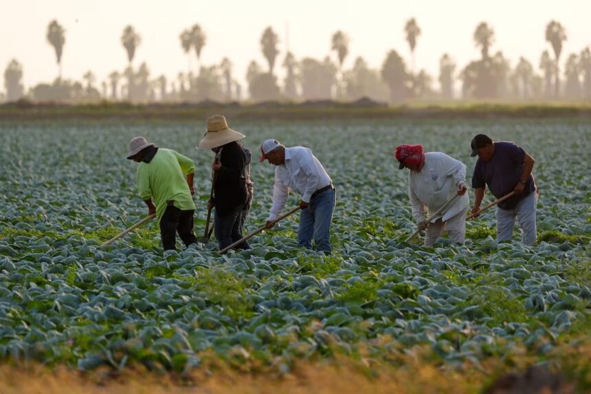 Mexicanos en Estados Unidos. Foto: Especial / AP.