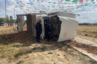 WhatsApp Image 2024 12 07 at 3.40.23 PM