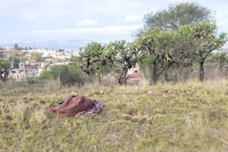 WhatsApp Image 2024 12 09 at 1.16.12 PM