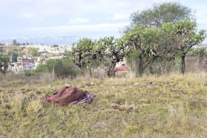 WhatsApp Image 2024 12 09 at 1.16.12 PM