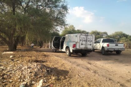 WhatsApp Image 2024 12 12 at 9.44.16 PM