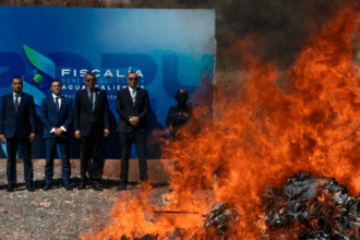 Incineran más de 71 mil dosis de cristal, marihuana y cocaína. Foto: JLMNoticias / Santiago Cruz.