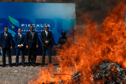 Incineran más de 71 mil dosis de cristal, marihuana y cocaína. Foto: JLMNoticias / Santiago Cruz.