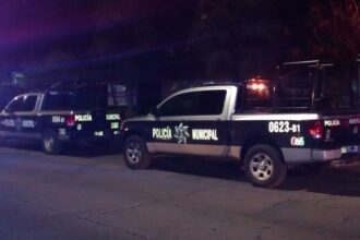 WhatsApp Image 2025 01 01 at 10.17.55 PM