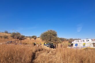 WhatsApp Image 2025 01 01 at 9.15.53 AM