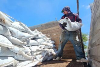 Agricultores recibiendo composta para mejorar sus cosechas y cultivos de más calidad