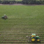 Tractores trabajando en el campo agrícola