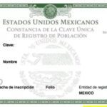 CURP. Foto: Segob.