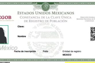 CURP. Foto: Segob.