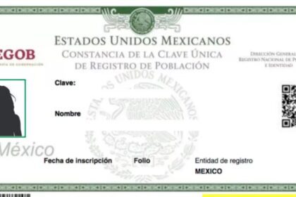 CURP. Foto: Segob.