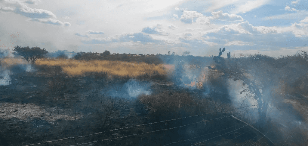 Uno de los distintos puntos donde ocurrieron los incendios forestales en Aguascalientes. Foto: JLMNoticias / Protección Civil Municipal.