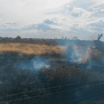 Uno de los distintos puntos donde ocurrieron los incendios forestales en Aguascalientes. Foto: JLMNoticias / Protección Civil Municipal.