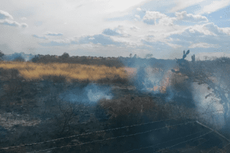 Uno de los distintos puntos donde ocurrieron los incendios forestales en Aguascalientes. Foto: JLMNoticias / Protección Civil Municipal.