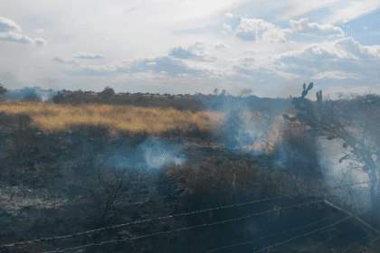 Uno de los distintos puntos donde ocurrieron los incendios forestales en Aguascalientes. Foto: JLMNoticias / Protección Civil Municipal.