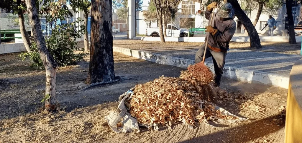 Se fortalecen acciones en camellones, jardines, parques y bajopuentes
