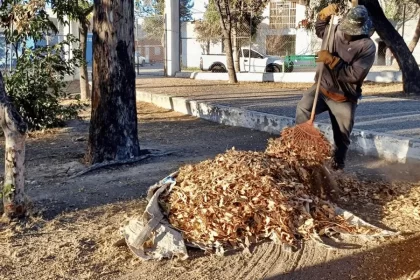 Se fortalecen acciones en camellones, jardines, parques y bajopuentes