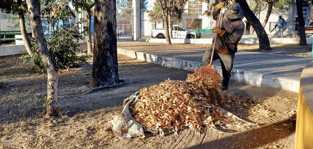 Se fortalecen acciones en camellones, jardines, parques y bajopuentes