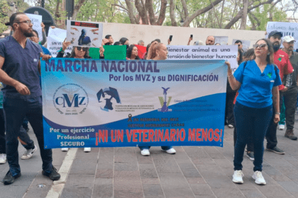 Marcha en Aguascalientes. Foto: JLMNoticias / Héctor García.