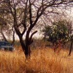 Narcofosas en Tepezalá. Foto: JLMNoticias / Especial.