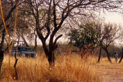 Narcofosas en Tepezalá. Foto: JLMNoticias / Especial.