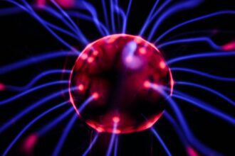 Neuronas. Identifican las neuronas encargadas de dar la orden de dejar de comer. Foto: JLMnoticias / Foto de Josh Riemer en Unsplash.