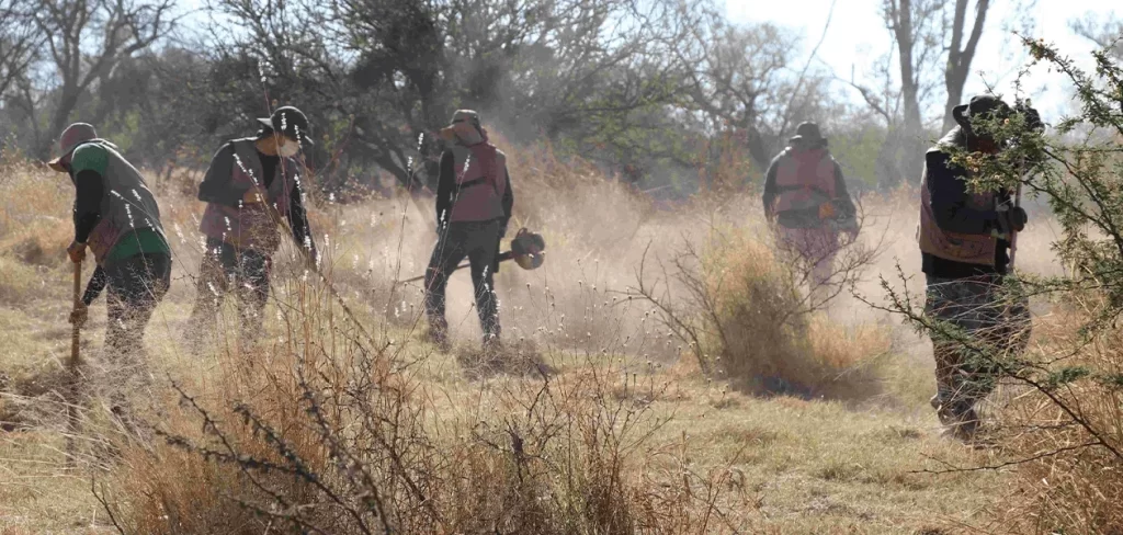 Se realizaron trabajos de limpieza en 700 metros cuadrados en el Área Natural Protegida Municipal La Pona.