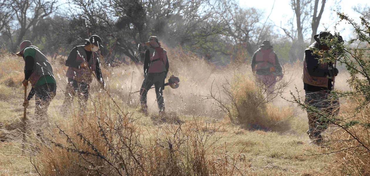 Se realizaron trabajos de limpieza en 700 metros cuadrados en el Área Natural Protegida Municipal La Pona.