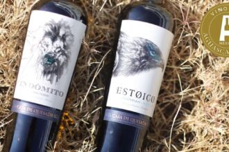 Vinos de la Casa de Quezada