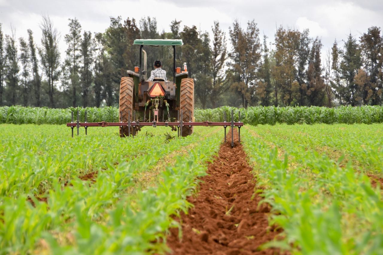 26